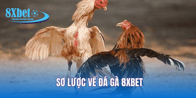 Sơ lược về đá gà 8xbet